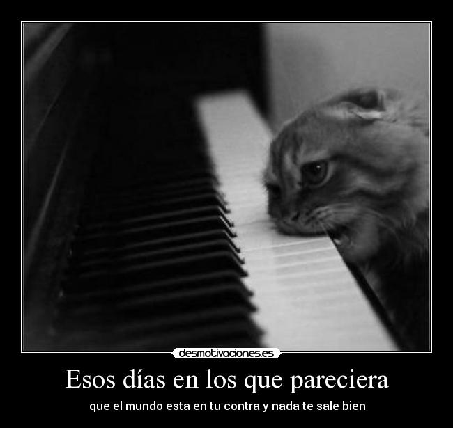 Esos días en los que pareciera - que el mundo esta en tu contra y nada te sale bien