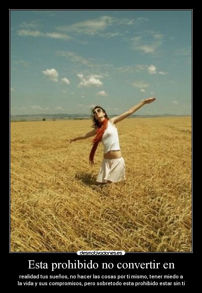 carteles marisol desmotivaciones