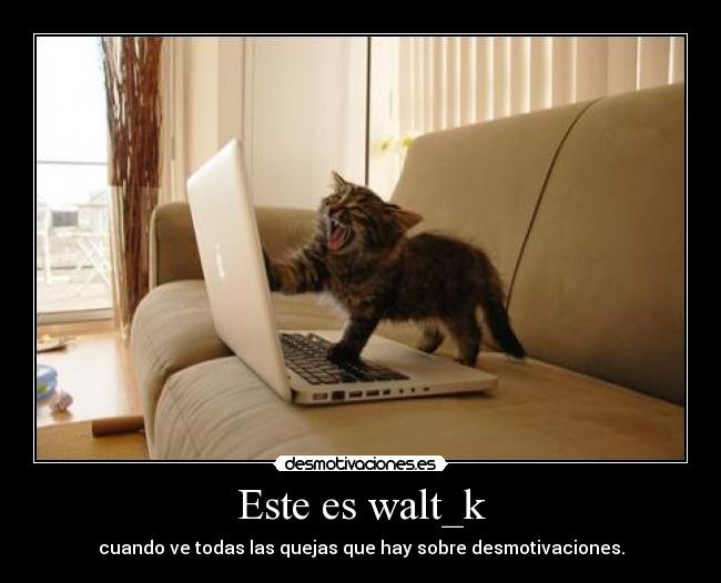 Este es walt_k -