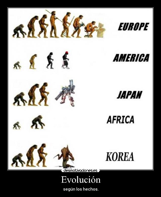 Evolución - 