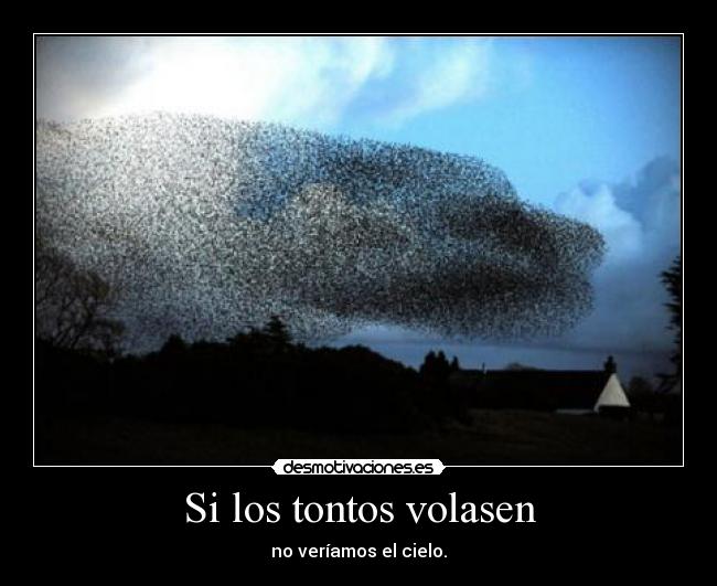 Si los tontos volasen - no veríamos el cielo.