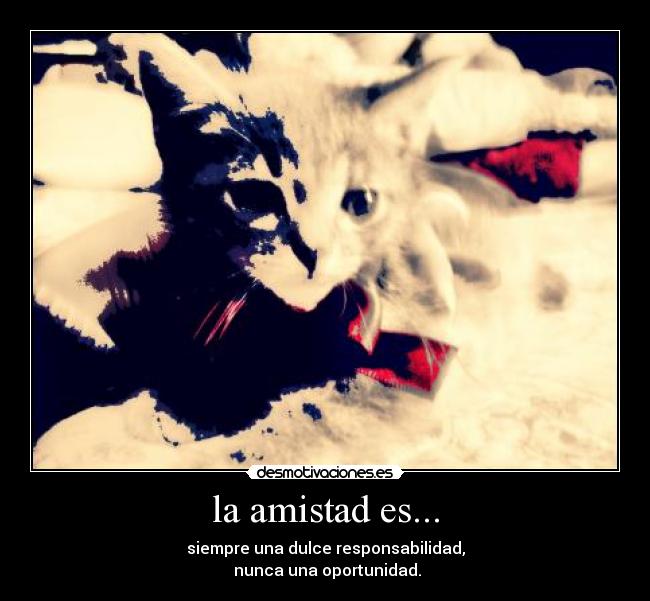 carteles amistad amistad desmotivaciones