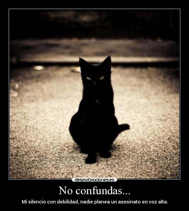 No confundas... - Mi silencio con debilidad, nadie planea un asesinato en voz alta.