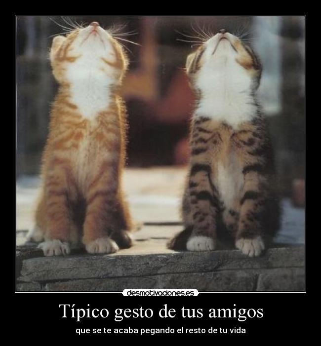 Típico gesto de tus amigos - que se te acaba pegando el resto de tu vida