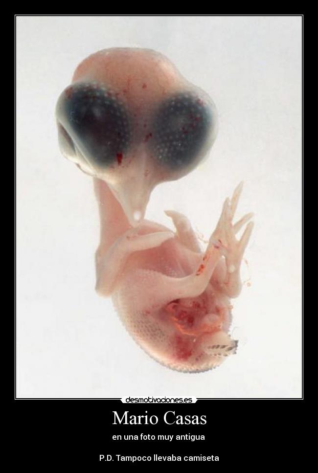Mario Casas - 