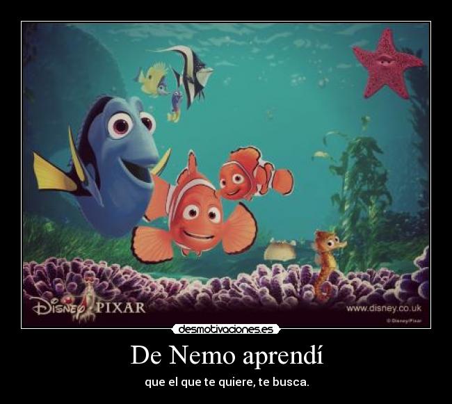De Nemo aprendí - 