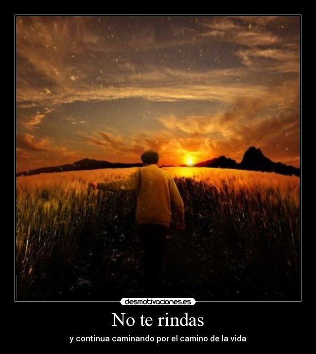 No te rindas -