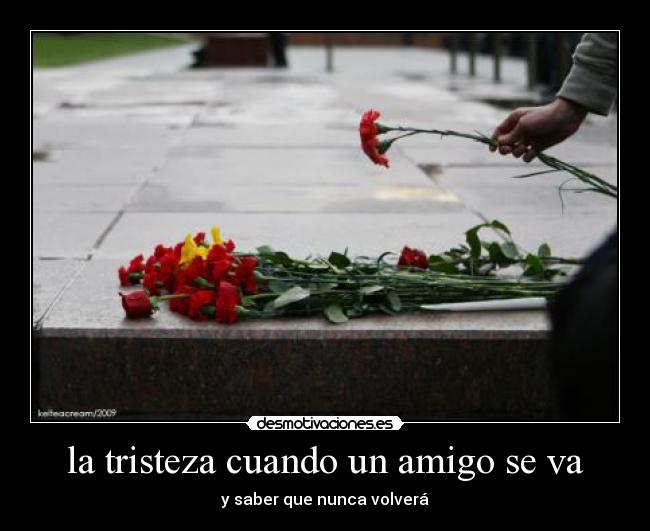 la tristeza cuando un amigo se