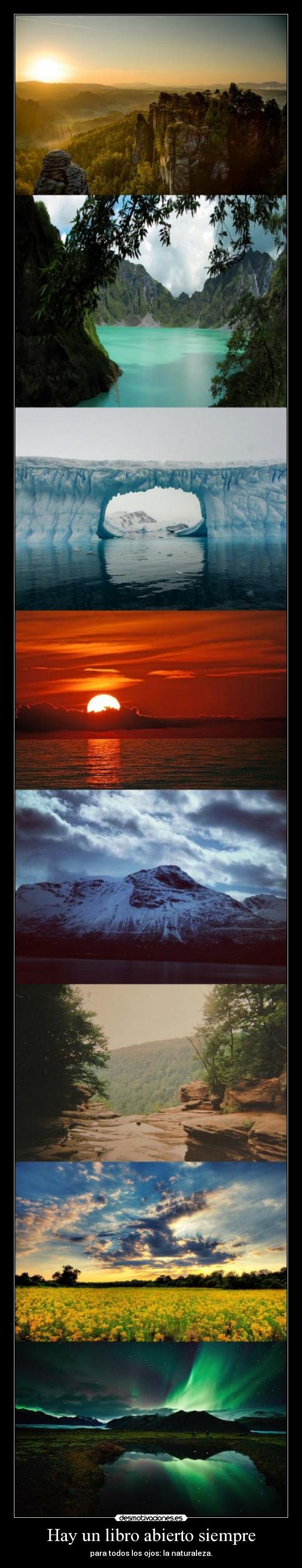Hay un libro abierto siempre - para todos los ojos: la naturaleza.