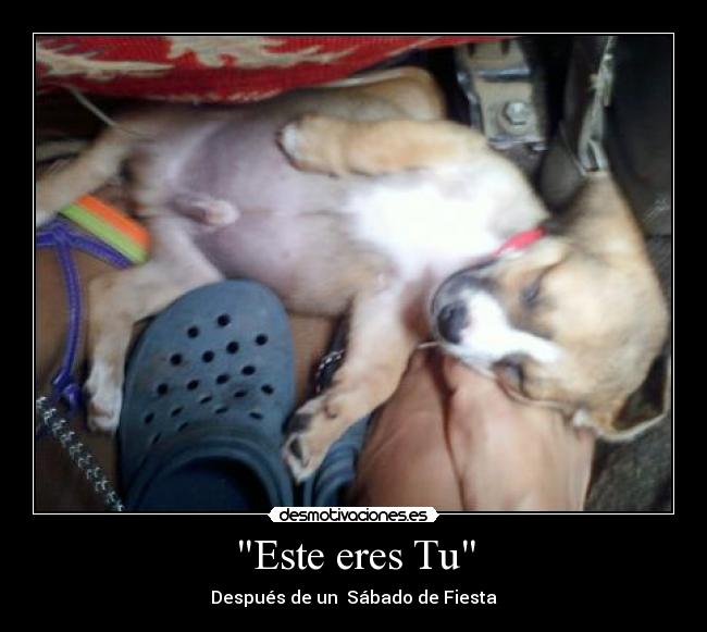 Este eres Tu - Después de un  Sábado de Fiesta