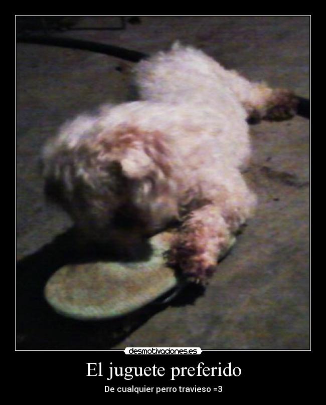 El juguete preferido - De cualquier perro travieso =3