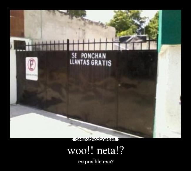 woo!! neta!? -