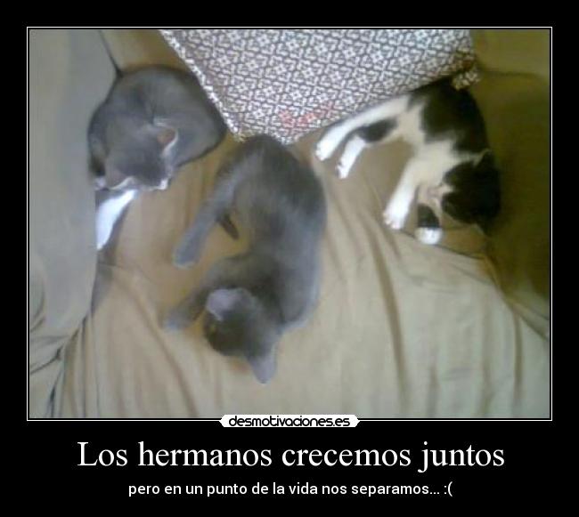 carteles marco desmotivaciones