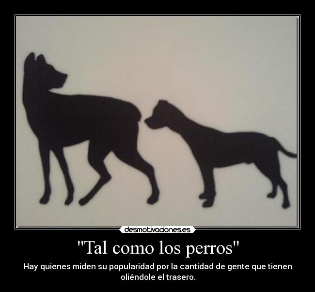 Tal como los perros - 