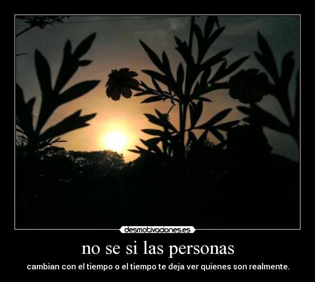 no se si las personas -