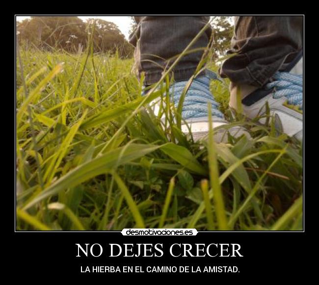 NO DEJES CRECER -