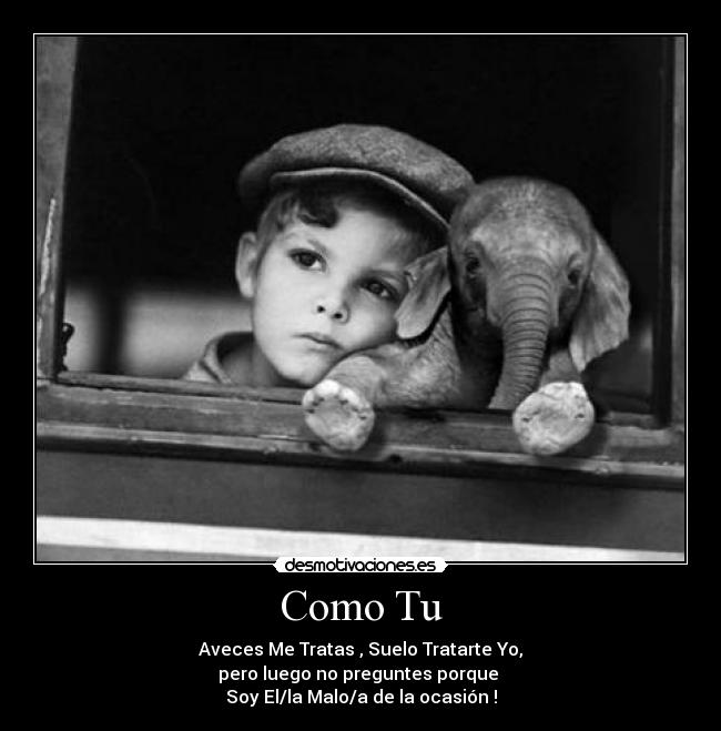 carteles ame gutierrez desmotivaciones