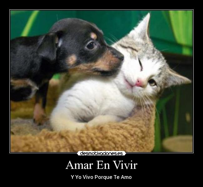 Amar En Vivir - 