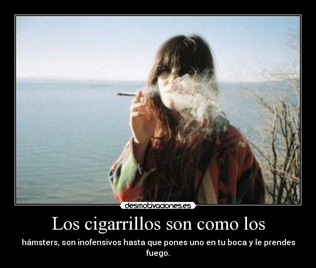 Los cigarrillos son como los - 