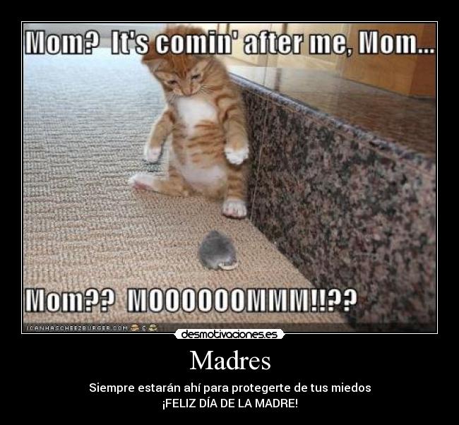 Madres - 