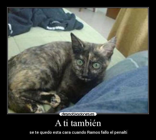 A ti también - se te quedo esta cara cuando Ramos fallo el penalti