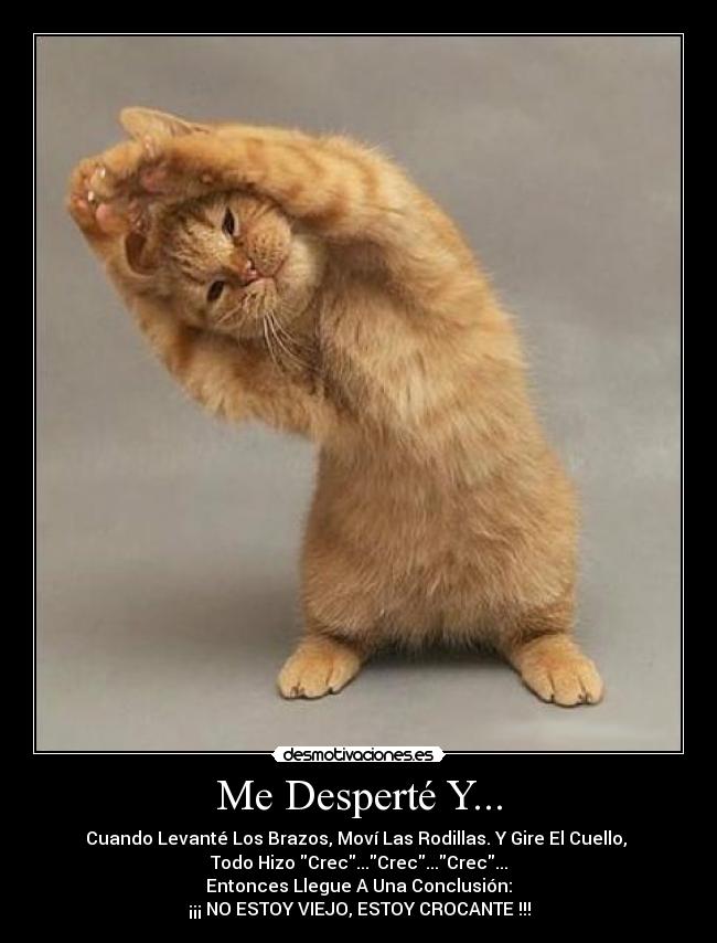 Me Desperté Y... -