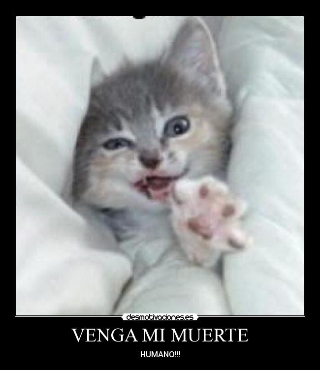 VENGA MI MUERTE - HUMANO!!!