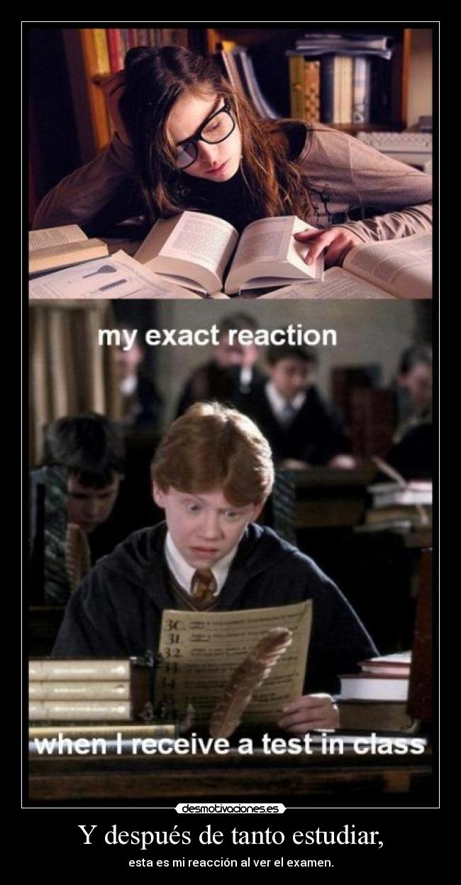 Y después de tanto estudiar, - 