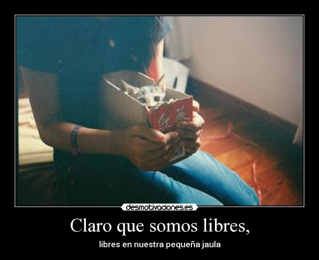 Claro que somos libres, - libres en nuestra pequeña jaula