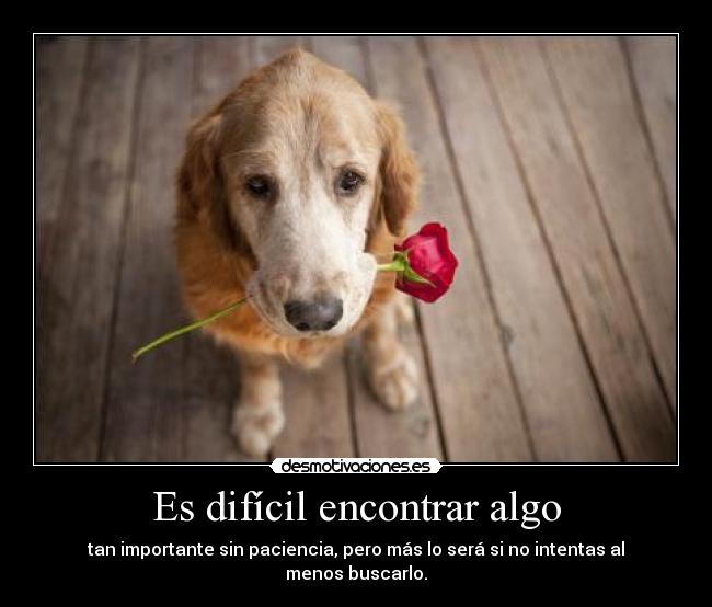Es difícil encontrar algo - tan importante sin paciencia, pero más lo será si no intentas al menos buscarlo.