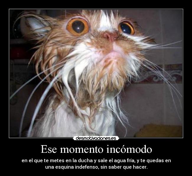 Ese momento incómodo - en el que te metes en la ducha y sale el agua fría, y te quedas en
una esquina indefenso, sin saber que hacer.
