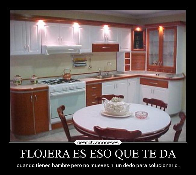 FLOJERA ES ESO QUE TE DA - cuando tienes hambre pero no mueves ni un dedo para solucionarlo..