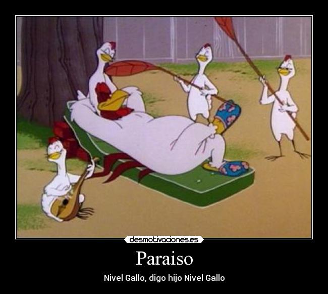 carteles paraiso nivel gallo digo hijo claudio desmotivaciones