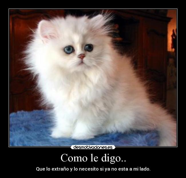 Como le digo.. - Que lo extraño y lo necesito si ya no esta a mi lado.