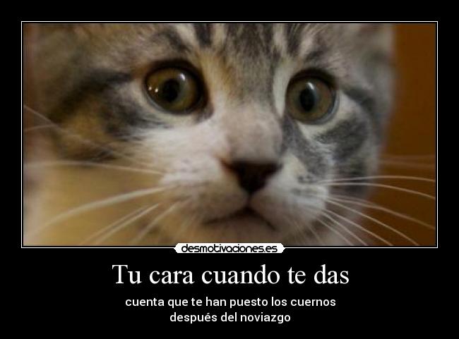 Tu cara cuando te das - cuenta que te han puesto los cuernos
después del noviazgo