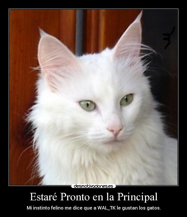 Estaré Pronto en la Principal -