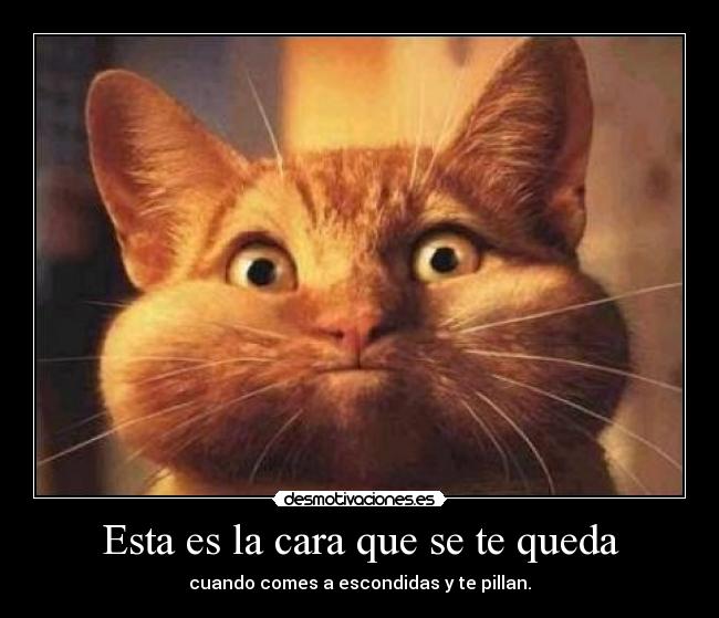 Esta es la cara que se te queda -