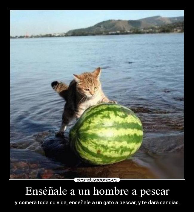 carteles alalalalalasofkjhpaeuogyqeoijtqe desmotivaciones