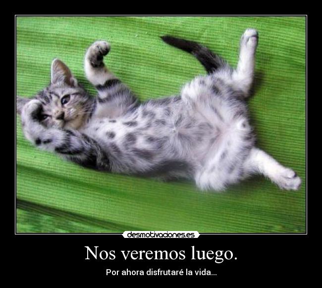 Nos veremos luego. -