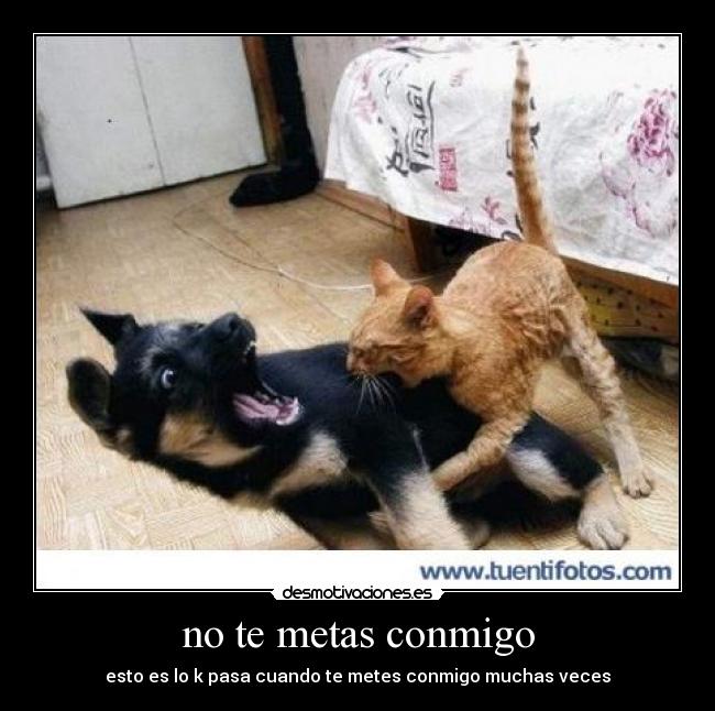 no te metas conmigo - esto es lo k pasa cuando te metes conmigo muchas veces