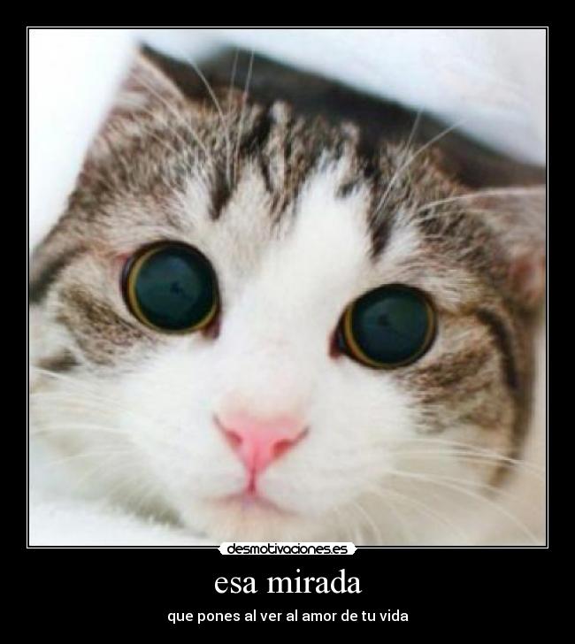 carteles amor desmotivaciones