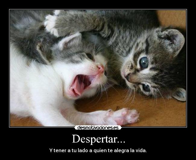 carteles despertar desmotivaciones