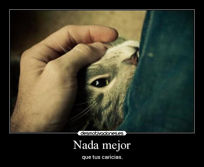 carteles gatito desmotivaciones