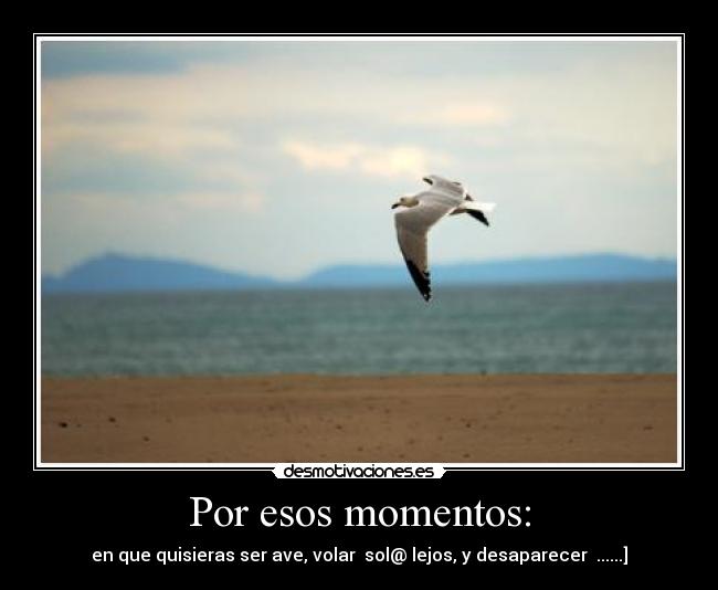 Por esos momentos: - en que quisieras ser ave, volar  sol@ lejos, y desaparecer  ......]