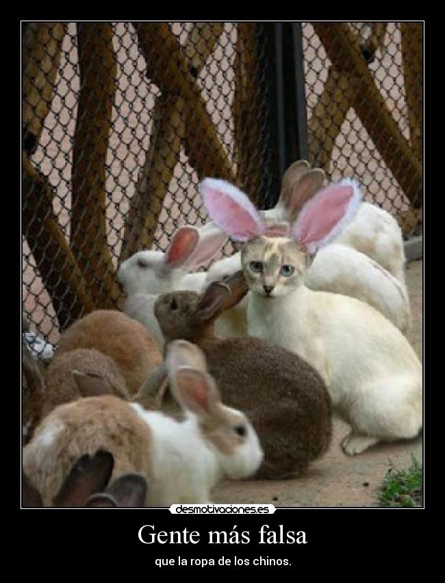 Gente más falsa - que la ropa de los chinos.
