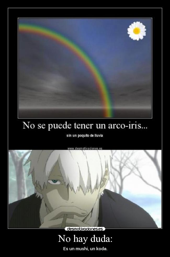 No hay duda: - Es un mushi, un koda.