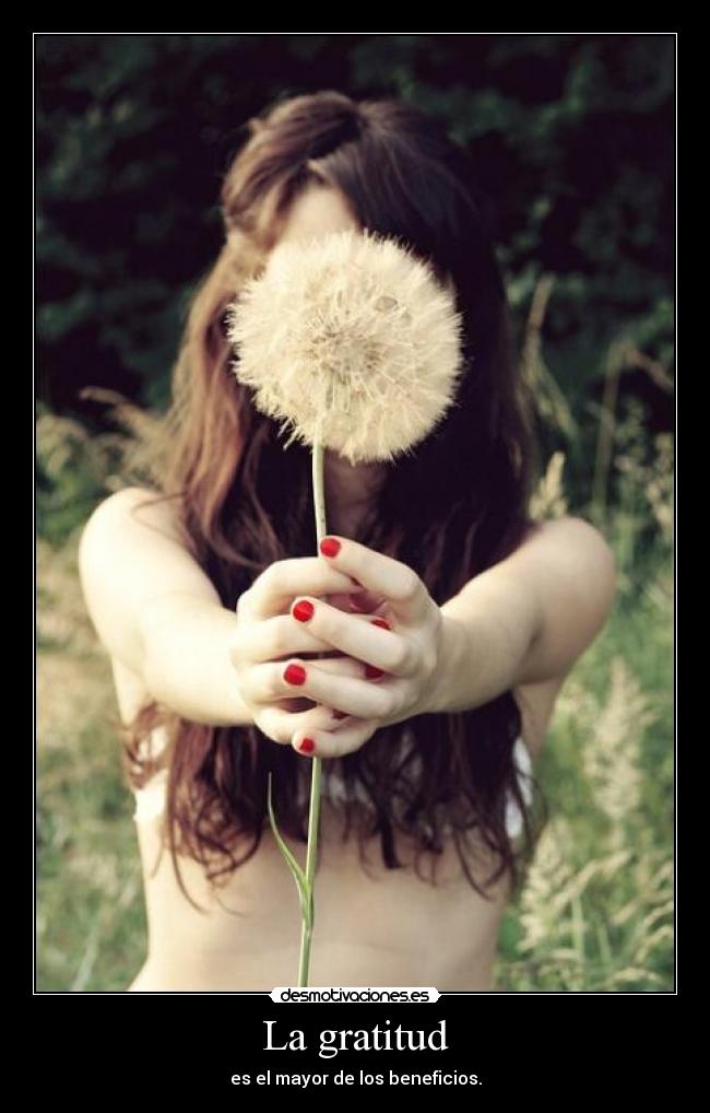 La gratitud - es el mayor de los beneficios.