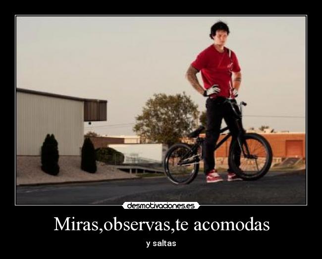 Miras,observas,te acomodas - y saltas