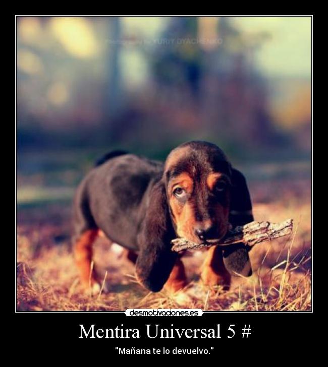 carteles mentira sobre todo cuando piden boli desmotivaciones