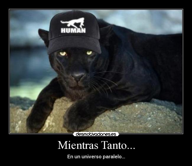 Mientras Tanto... - En un universo paralelo...